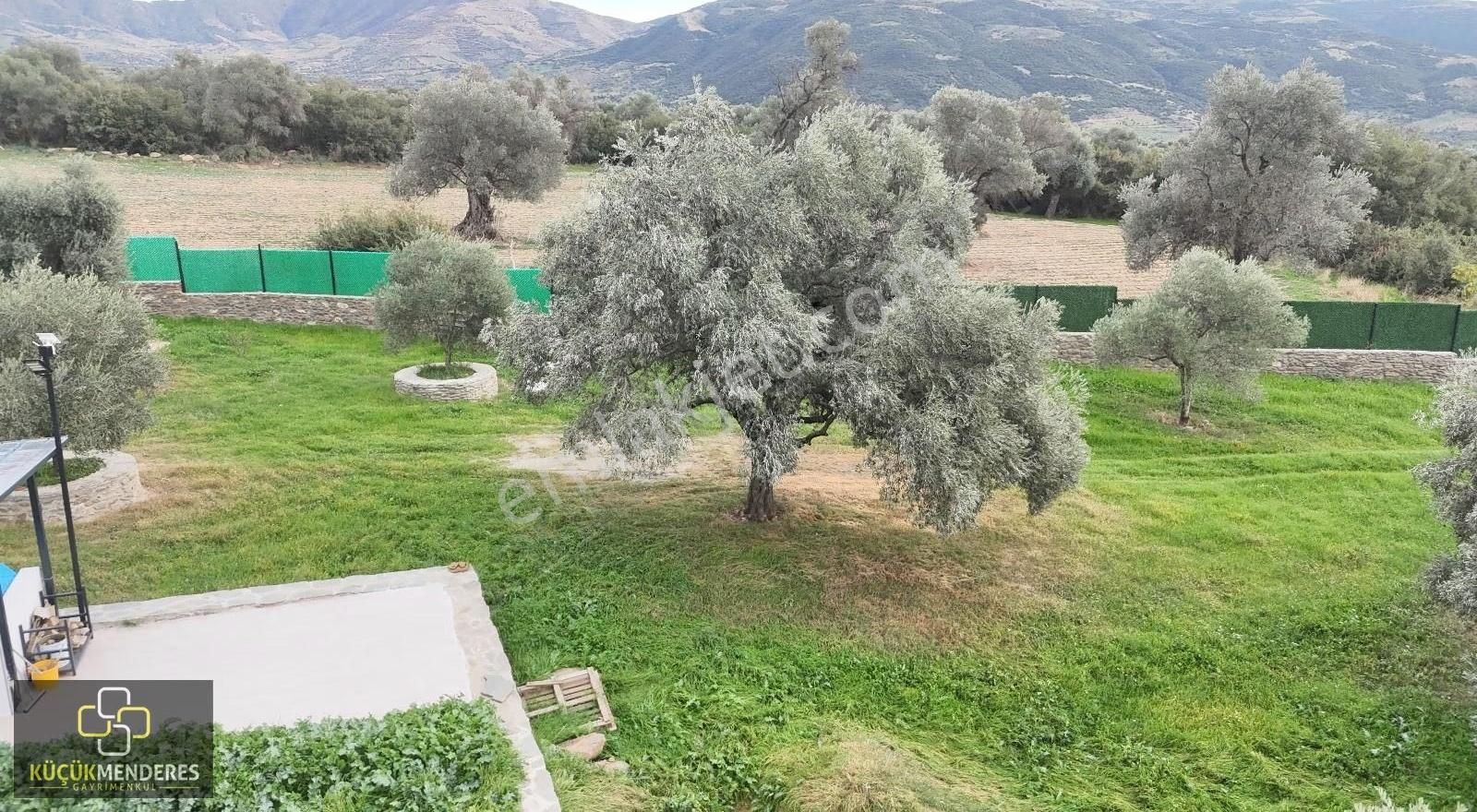 Küçük Menderes'ten Ödemiş Üçkonak Satılık Prefabrik Ev,zeytinlik - Görsel 15