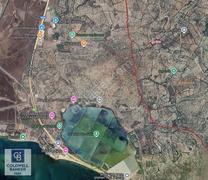 Ayvalık Kazım Karabekir Mahallesinde Satılık Zeytinlik - Görsel 4