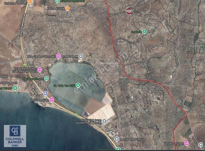 Ayvalık Kazım Karabekir Mahallesinde Verimli Zeytinlik - Görsel 2