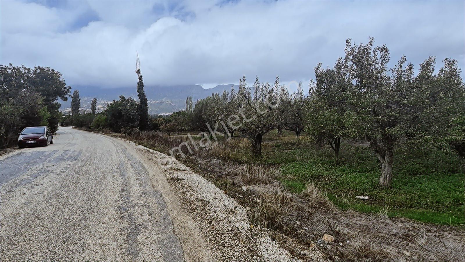 Antalya Elmalı Akçay -armutlu Yoluna Sıfır Satılık 4500 M2 Bahçe