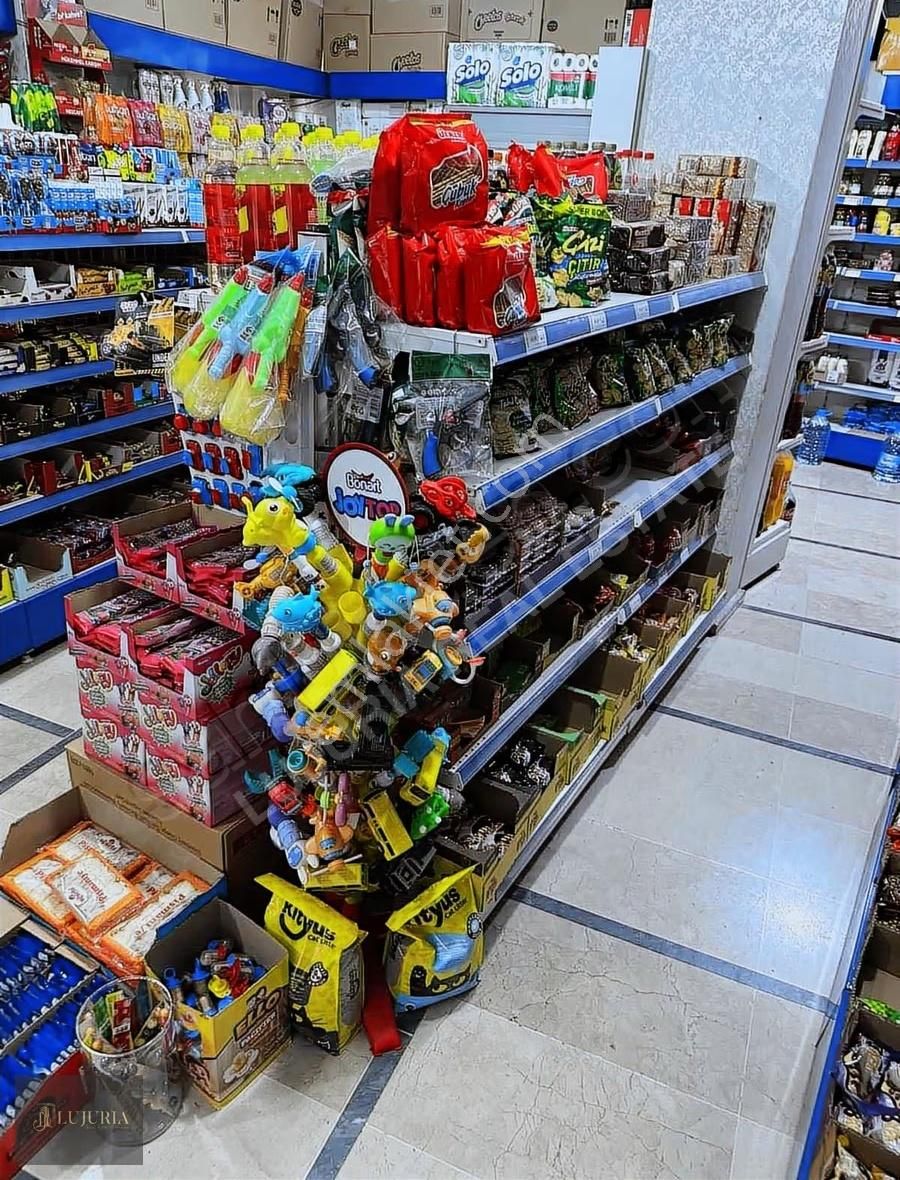 Devren Satılık Bakkal Dükkanı Yatırım Fırsatı! - Görsel 9