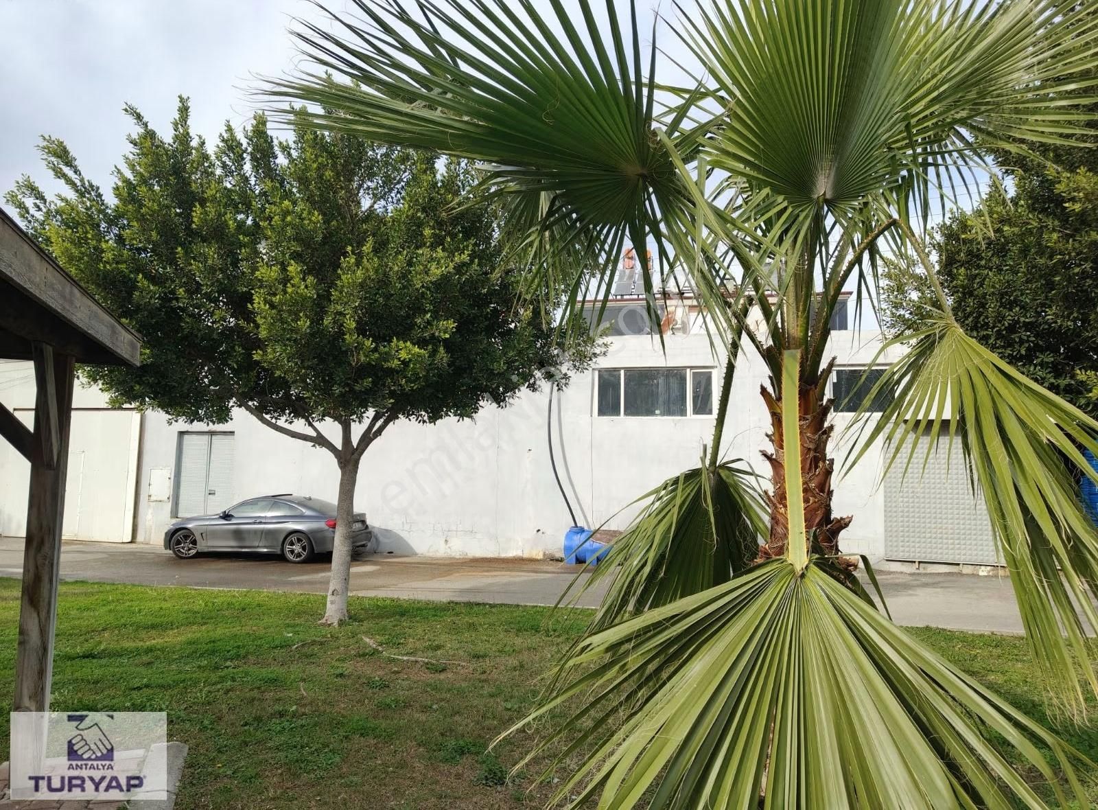 Antalya Altınova Da Faal İşletmede Devren Satılık Fabrika - Görsel 14