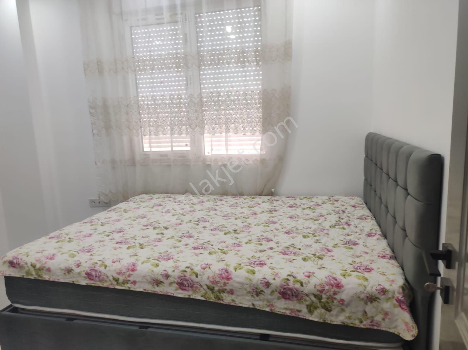 Sıfır Daire Eşyalı Kullanıma Hazır - Görsel 2