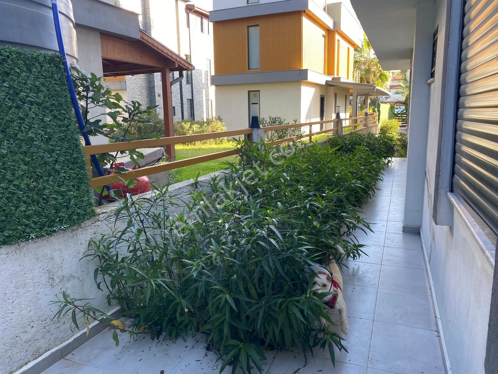 Seferihisar Doğanbey Bölgesinde Denize 50mt Mesafe'de 1+1 Daire - Görsel 13