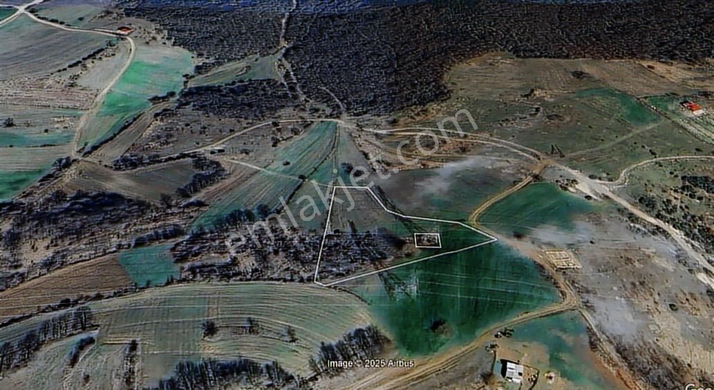 İzmit Kaynarca'da Kadastro Yoluna 20m Cepheli Tarla