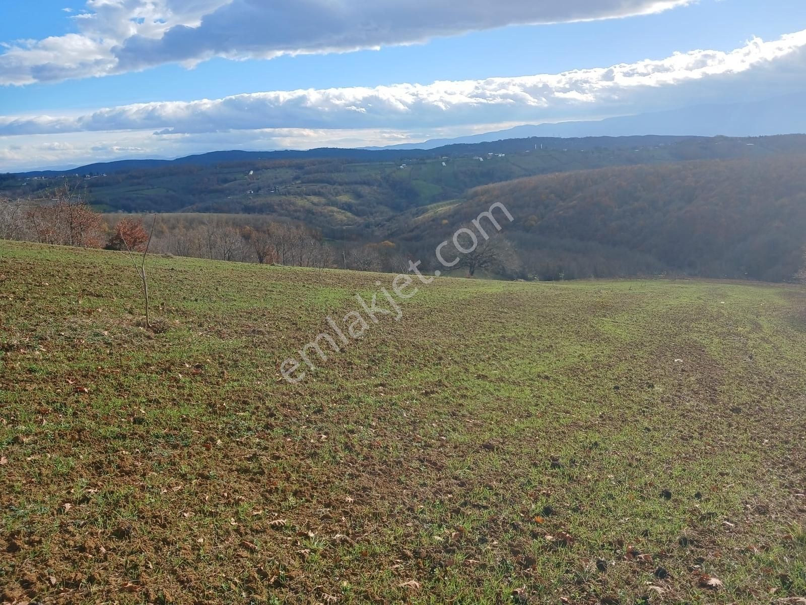 Organize Sanayi Bölgesine 13km Mesafe Sultaniye'de Satılık Tarla - Görsel 2