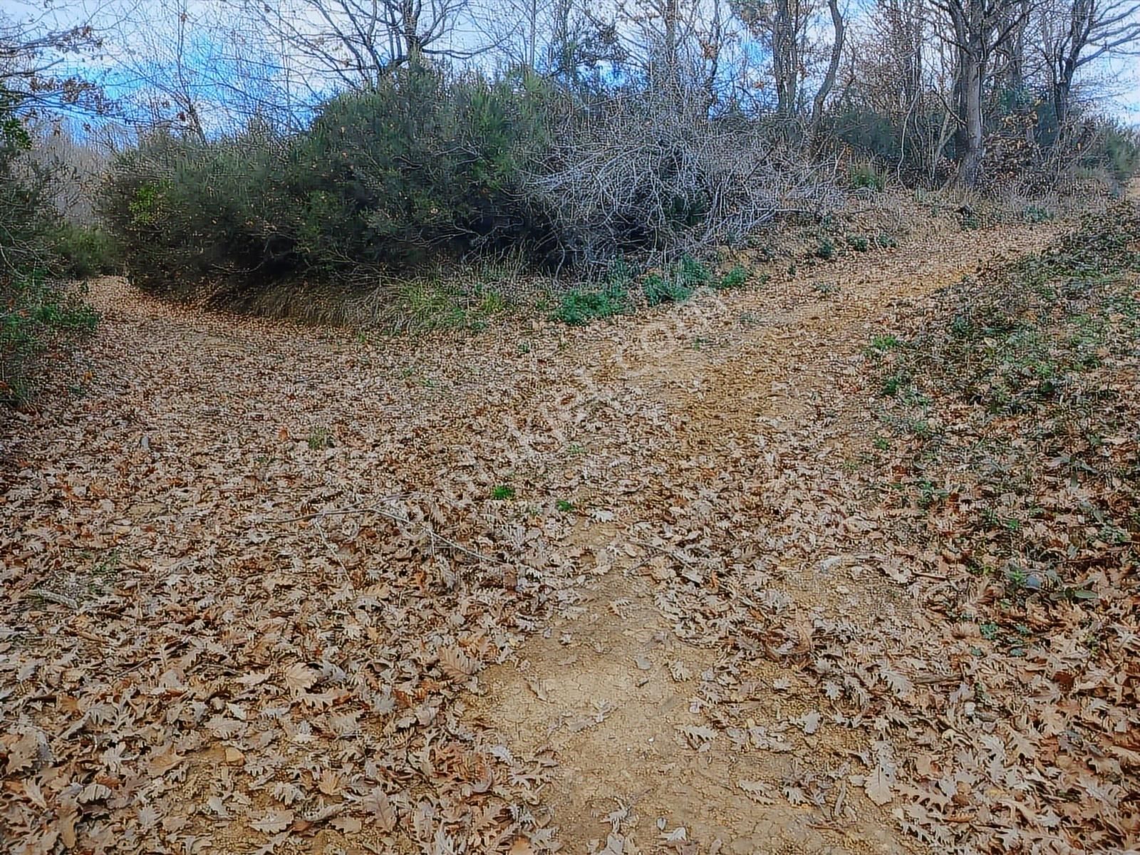 Organize Sanayi Bölgesine 13km Mesafe Sultaniye'de Satılık Tarla - Görsel 20