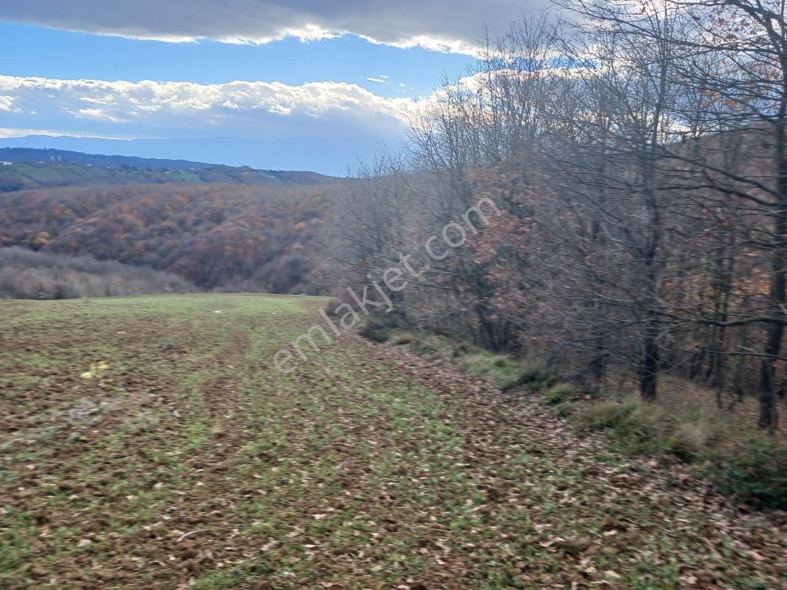 Organize Sanayi Bölgesine 13km Mesafe Sultaniye'de Satılık Tarla - Görsel 15