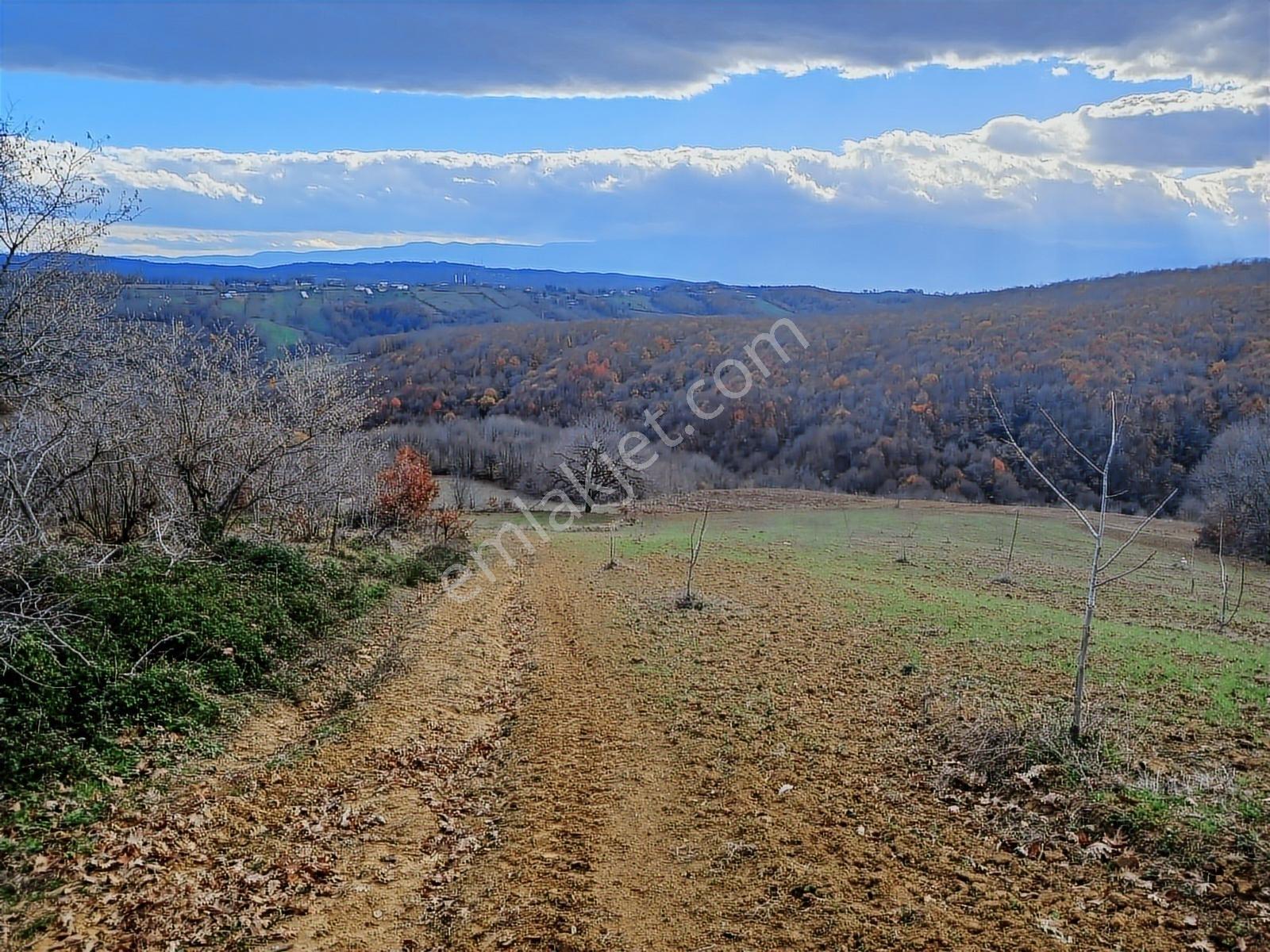 Organize Sanayi Bölgesine 13km Mesafe Sultaniye'de Satılık Tarla - Görsel 13
