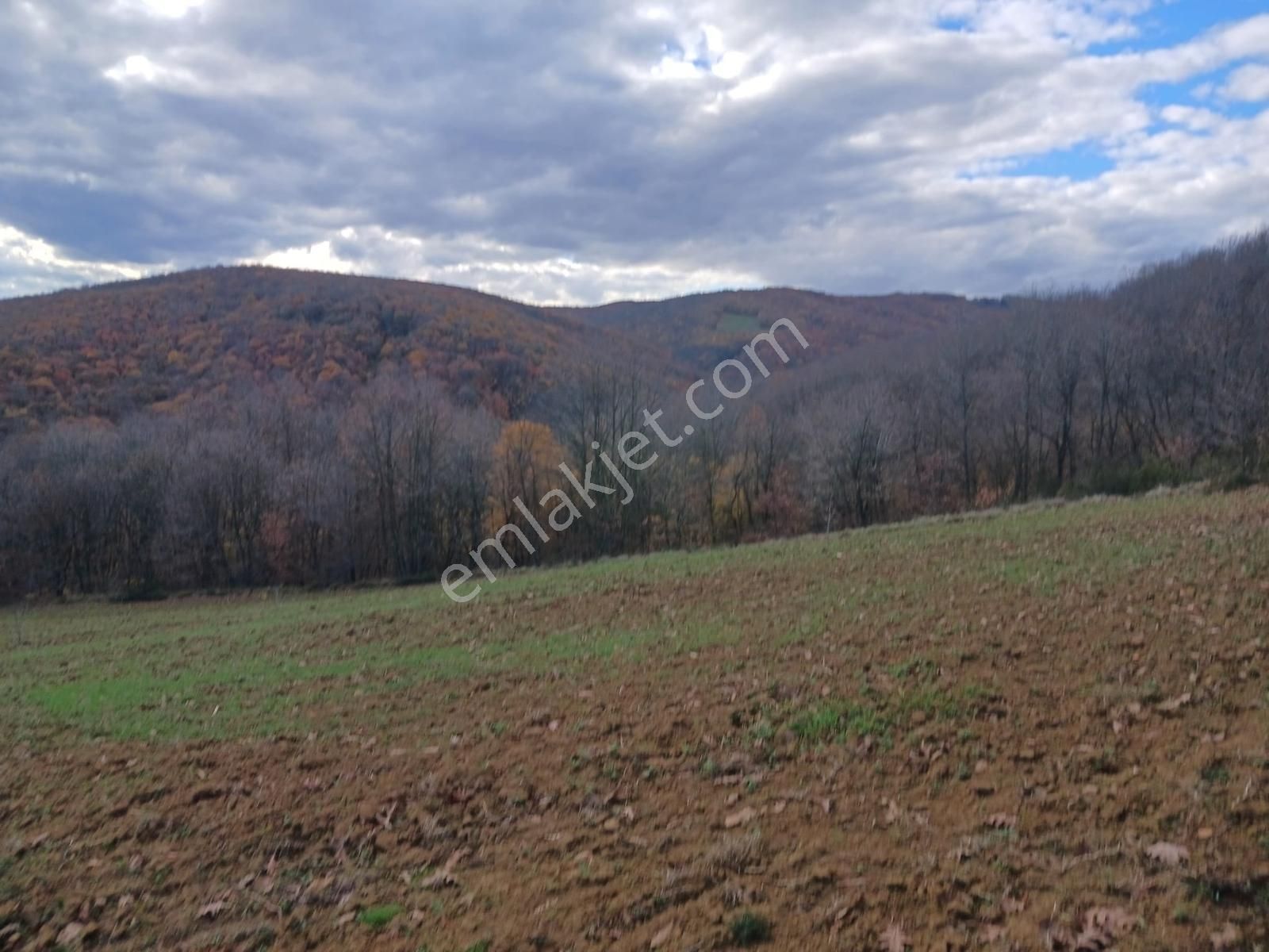 Organize Sanayi Bölgesine 13km Mesafe Sultaniye'de Satılık Tarla - Görsel 18