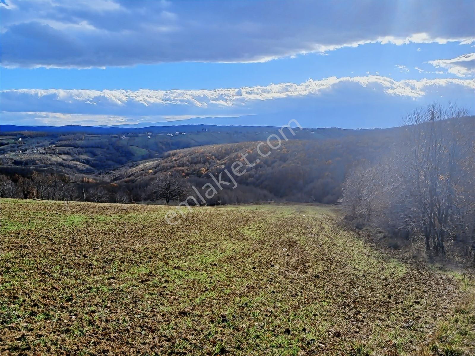 Organize Sanayi Bölgesine 13km Mesafe Sultaniye'de Satılık Tarla - Görsel 9