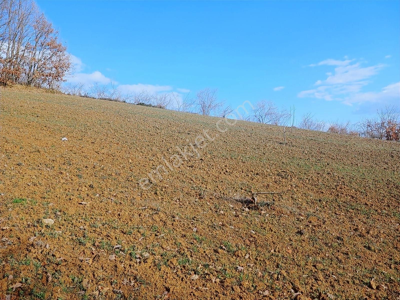 Organize Sanayi Bölgesine 13km Mesafe Sultaniye'de Satılık Tarla - Görsel 28