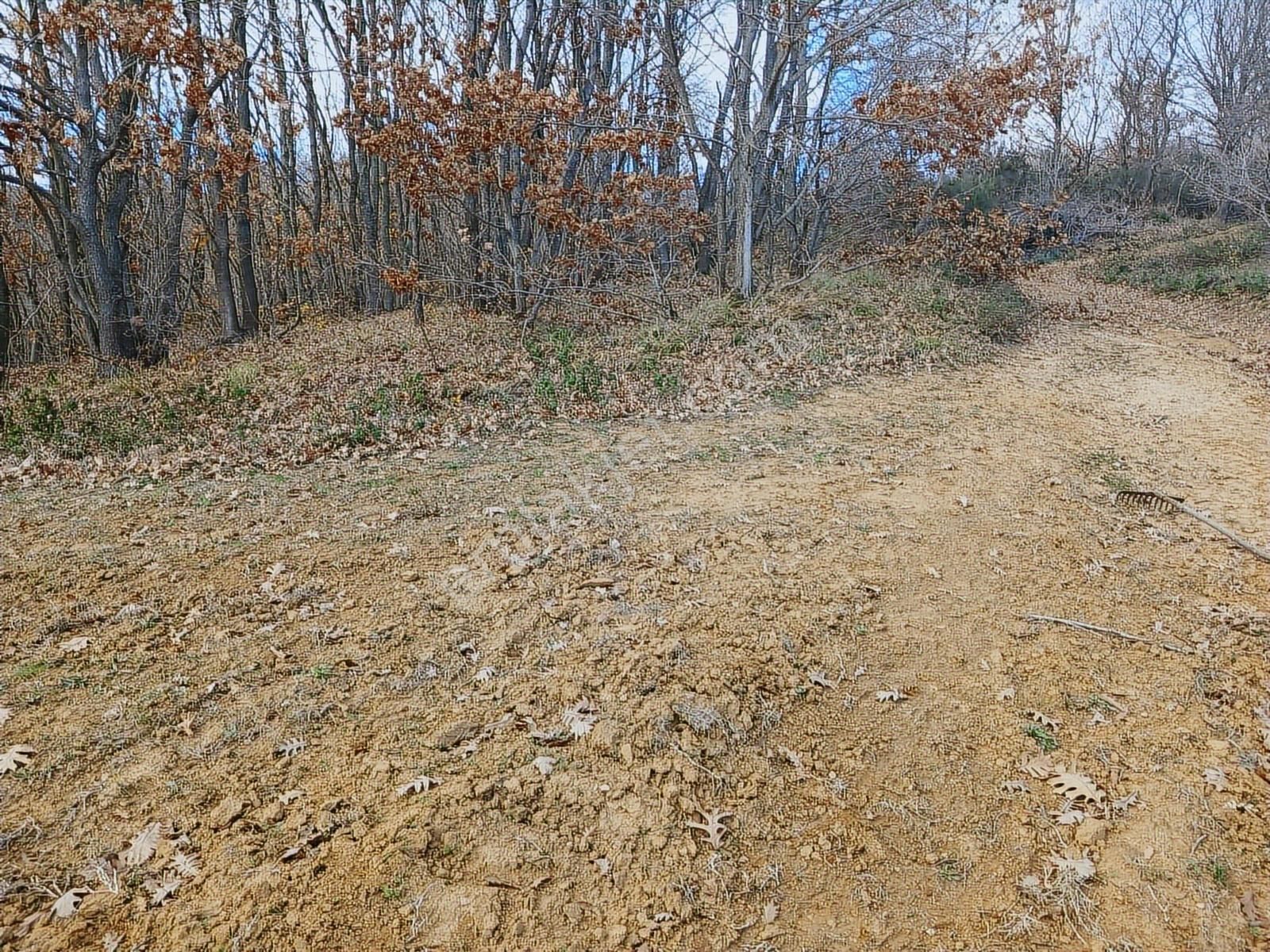 Organize Sanayi Bölgesine 13km Mesafe Sultaniye'de Satılık Tarla - Görsel 15