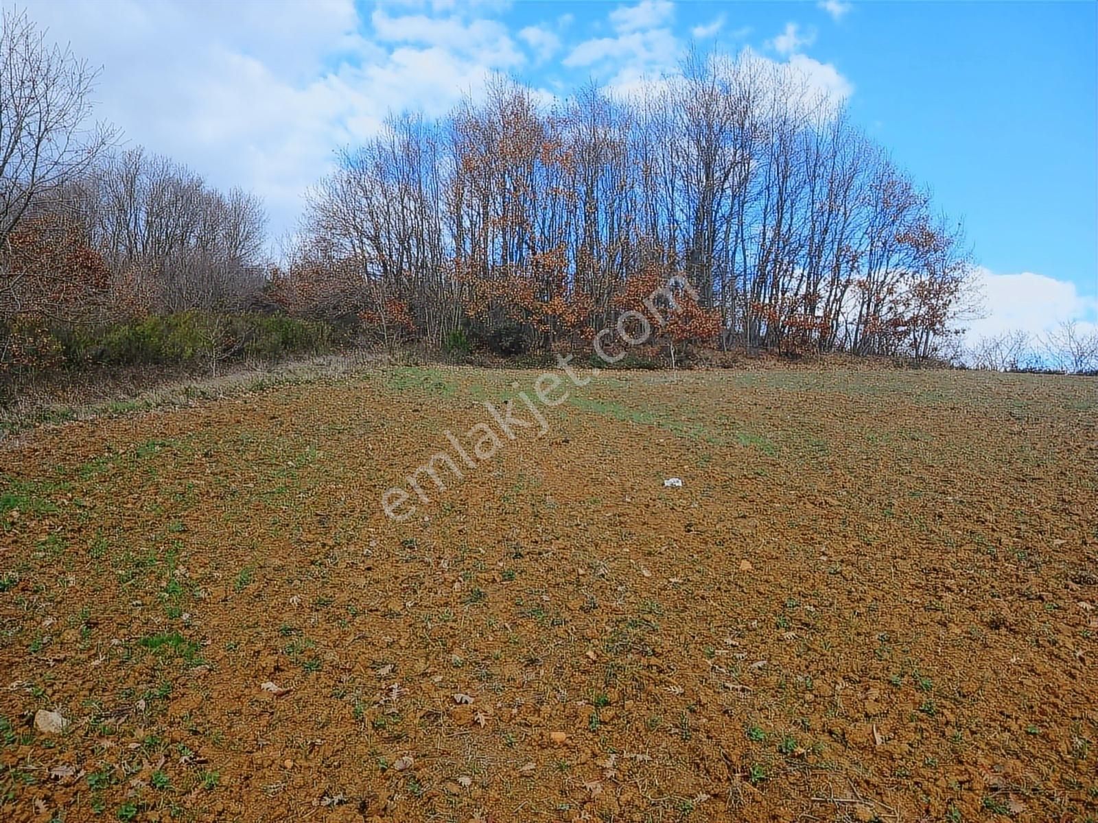 Organize Sanayi Bölgesine 13km Mesafe Sultaniye'de Satılık Tarla - Görsel 26