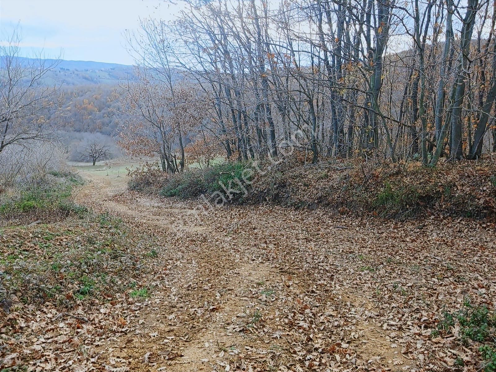 Organize Sanayi Bölgesine 13km Mesafe Sultaniye'de Satılık Tarla - Görsel 7