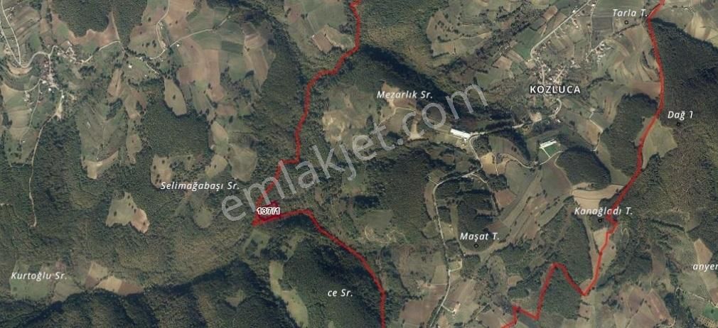 Organize Sanayi Bölgesine 9km Mesafe Kozluca'da Satılık Tarla - Görsel 8