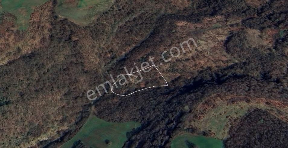 Organize Sanayi Bölgesine 9km Mesafe Kozluca'da Satılık Tarla - Görsel 11