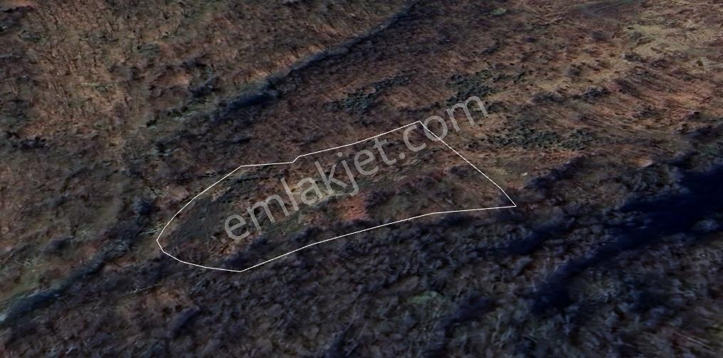 Organize Sanayi Bölgesine 9km Mesafe Kozluca'da Satılık Tarla - Görsel 7