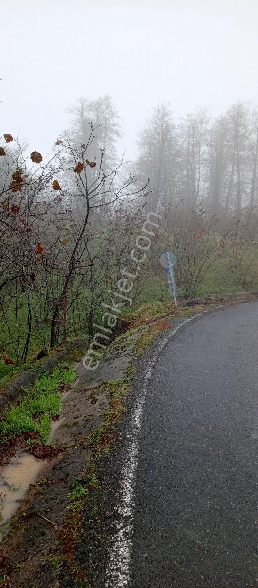 Perşembe Töngeldüzü Mahallesinde Satılık İmarlı Bahçe. - Görsel 2