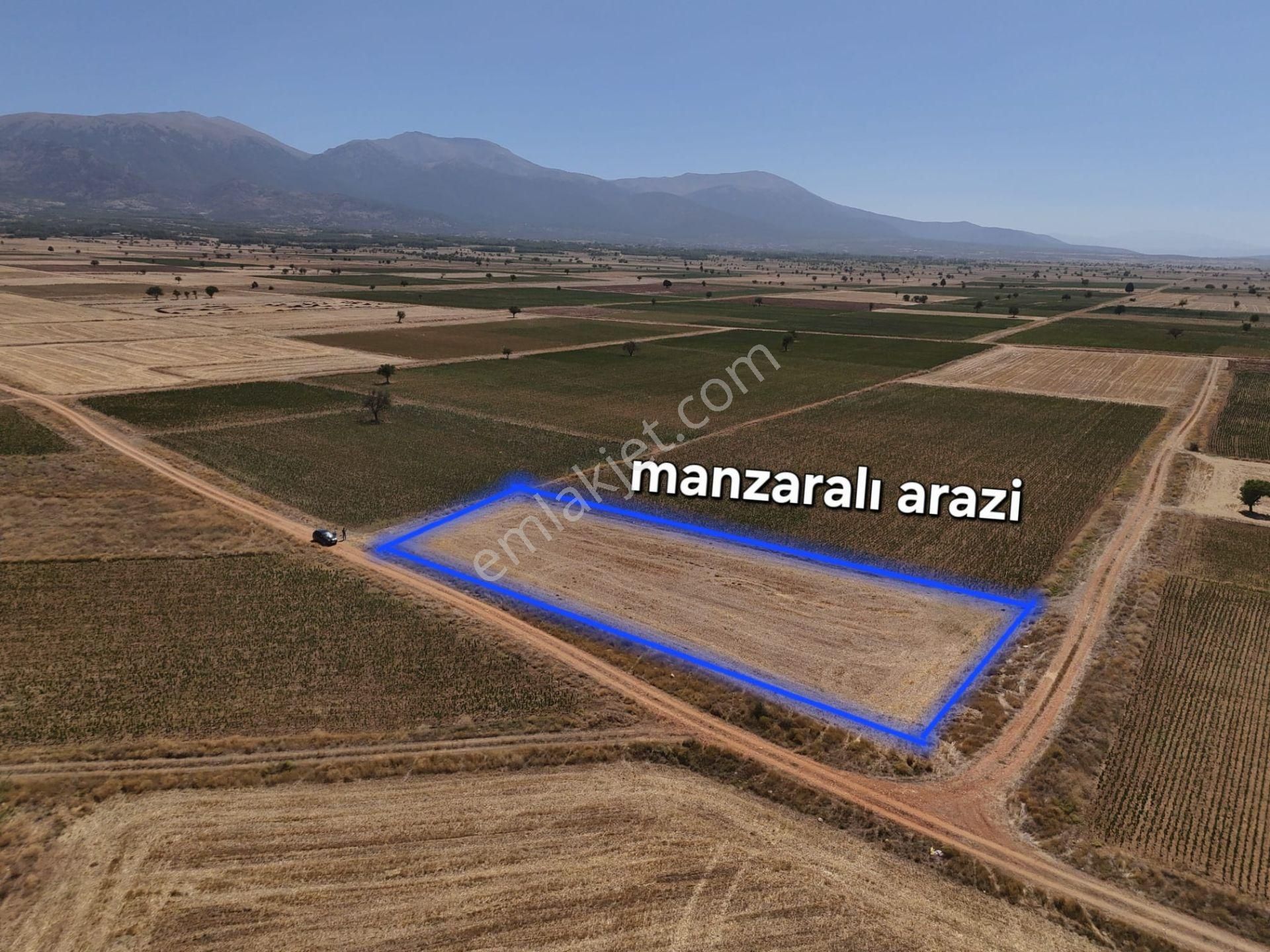 Acil! Tavas Bahçeköy’de 2.746 M² Tarla – Kaçırılmayacak Fiyat! (270.000 Tl) - Görsel 13