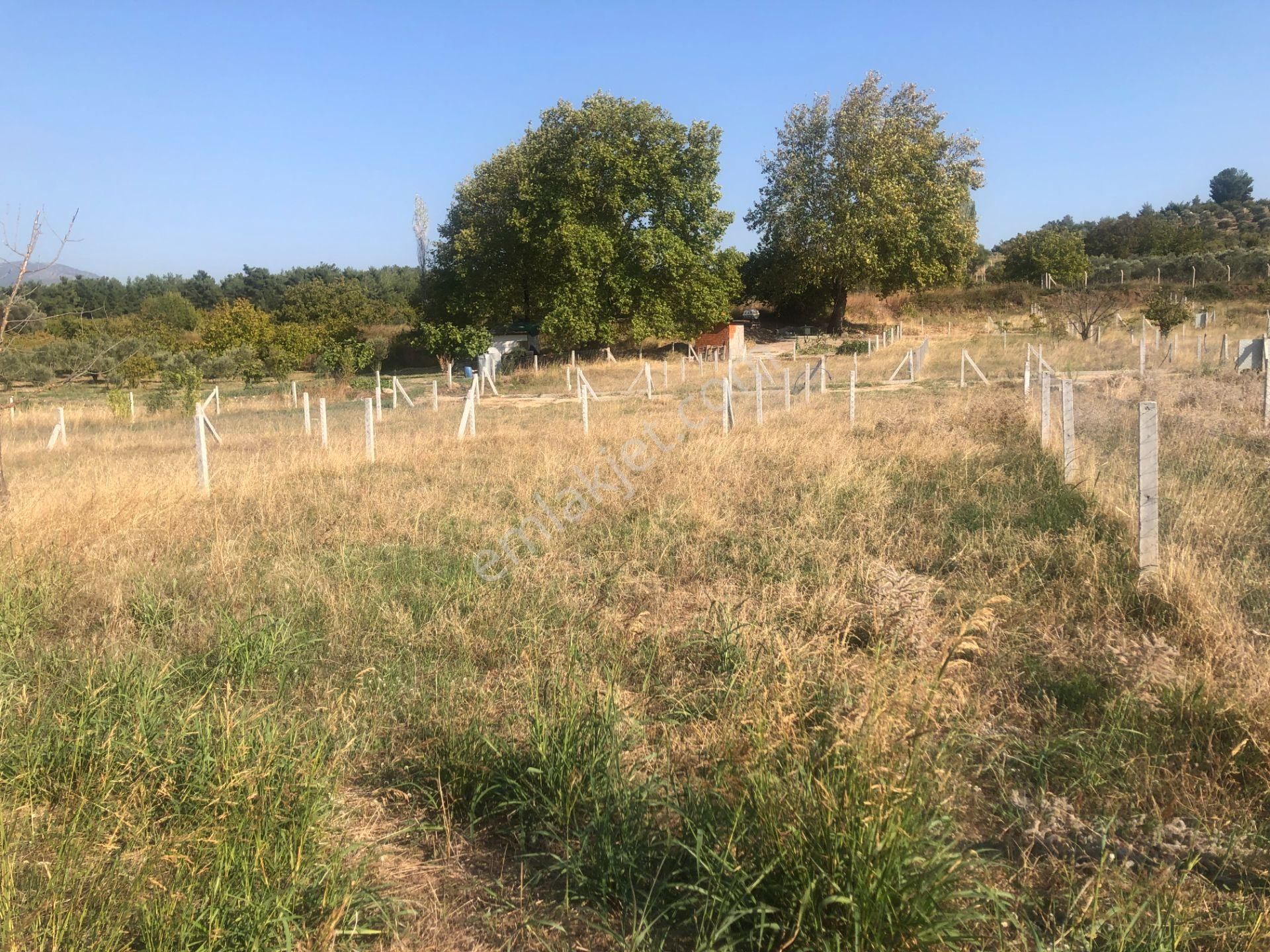 Buca Belenbaşında Koop Hisseli Satılık Arsa - Görsel 10