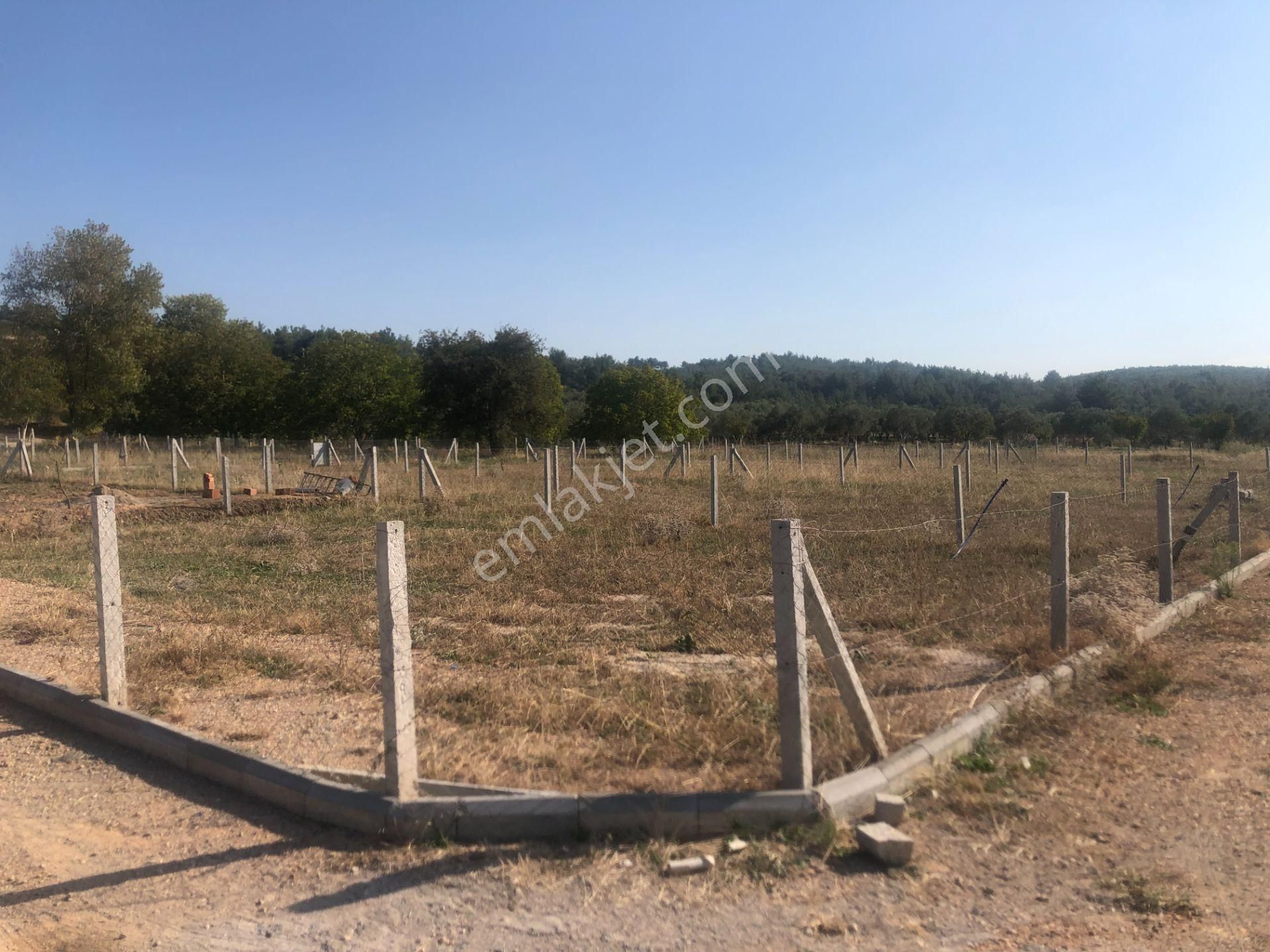 Buca Belenbaşında Koop Hisseli Satılık Arsa - Görsel 4