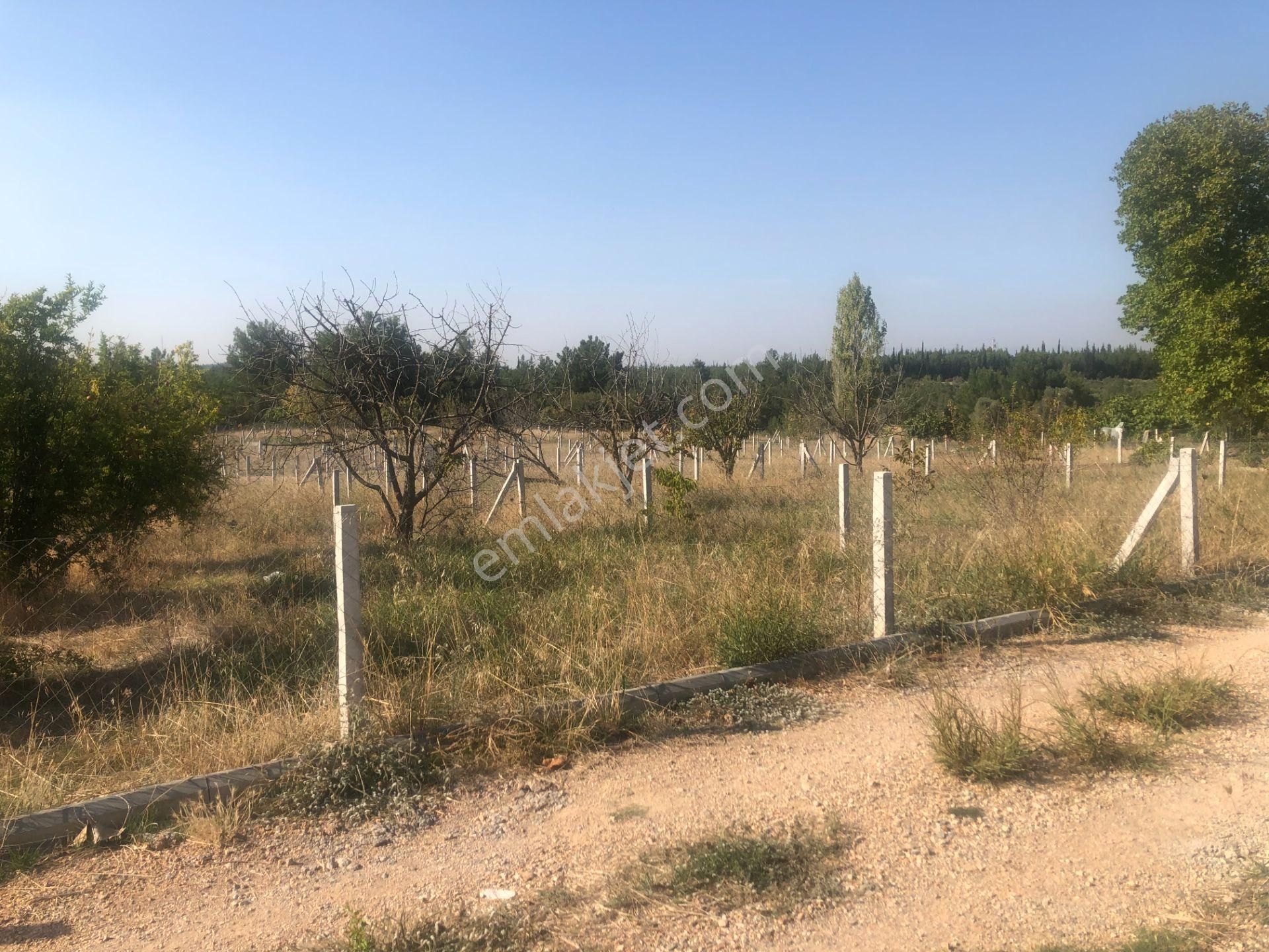 Buca Belenbaşında Koop Hisseli Satılık Arsa - Görsel 7