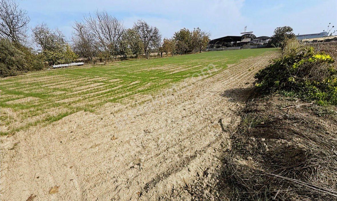 Sahibinden Satılık Şehre Yakın Tarla - Görsel 9