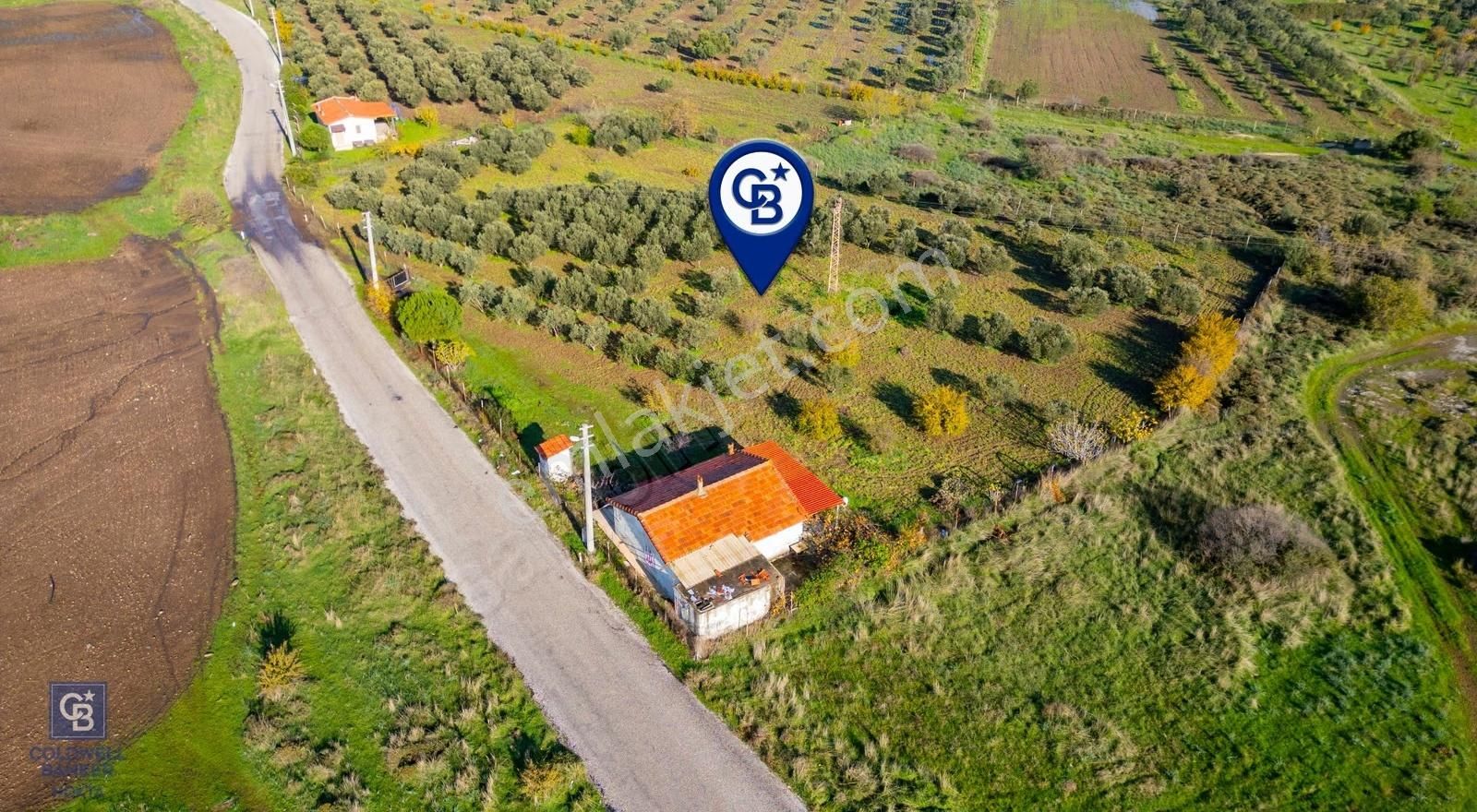 Foça Yenibağarası Mahallesinde Satılık Tarla Ve Ev - Görsel 8