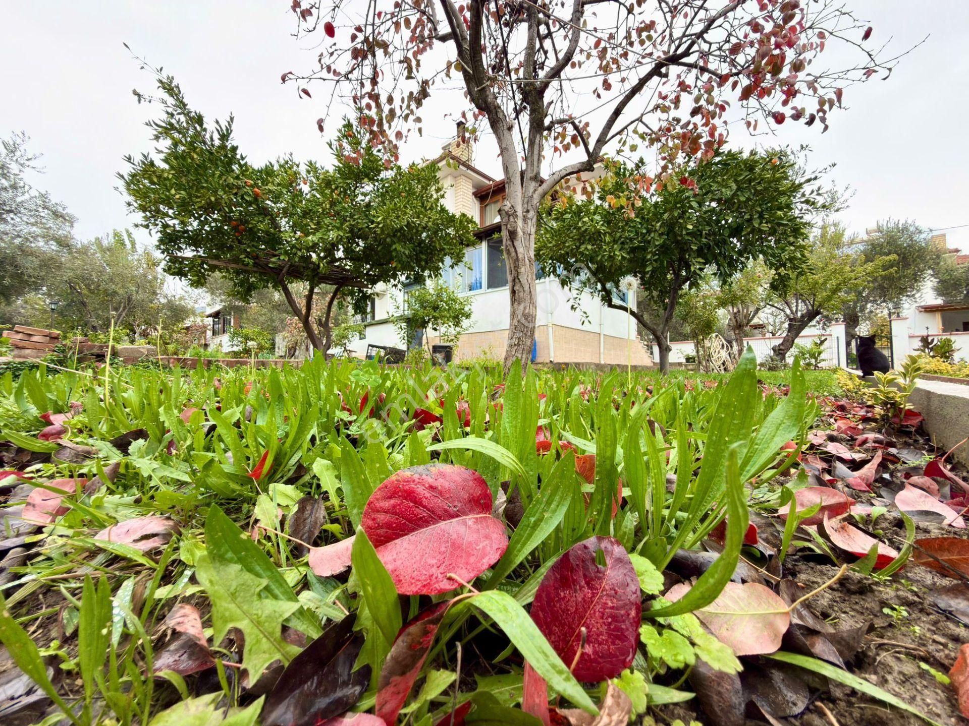 ▓▓yükselden Gürede Doğa İçinde Havuzlu Sitede Satılık 2+1 Villa▓