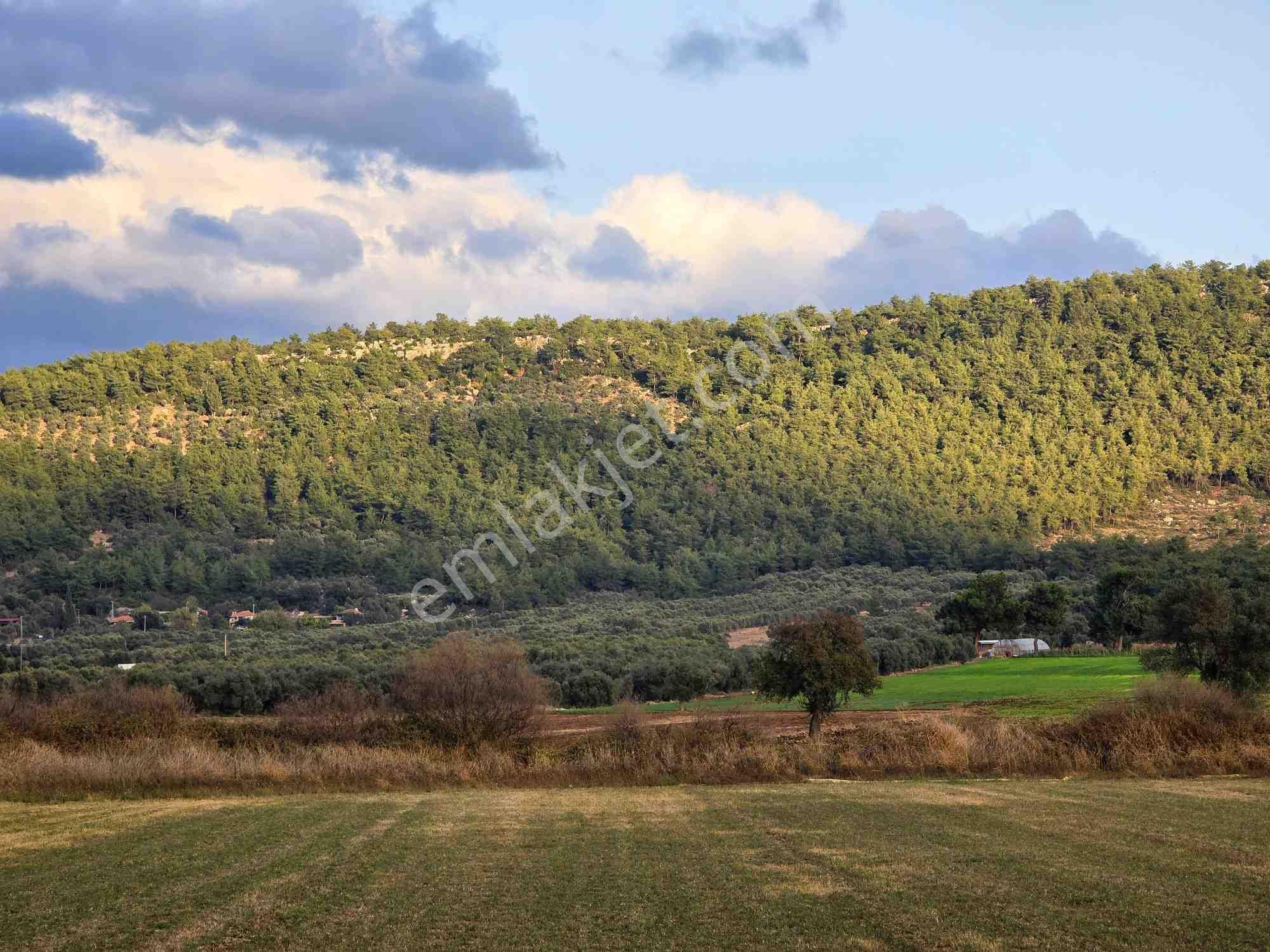 Mılas Ağaçlıhüyük'te Yatırımlık Tarla - Görsel 2