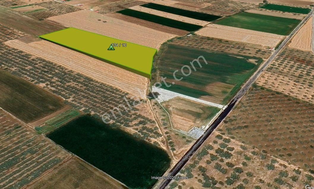 Mılas Ağaçlıhüyük'te Yatırımlık Tarla - Görsel 6