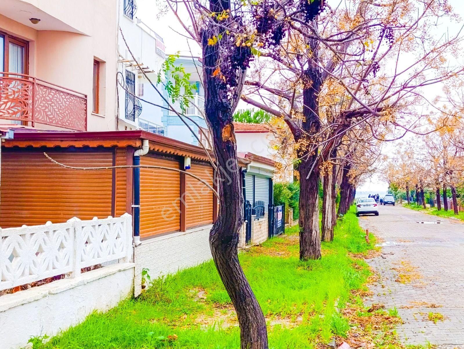 🌳 Kuşadası Davutlar’da Satılık Villa! 🌊 - Görsel 3