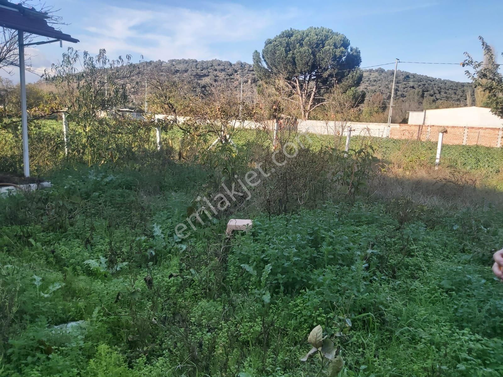 Söke Bağrası Müstakil Satılık Ev - Görsel 4