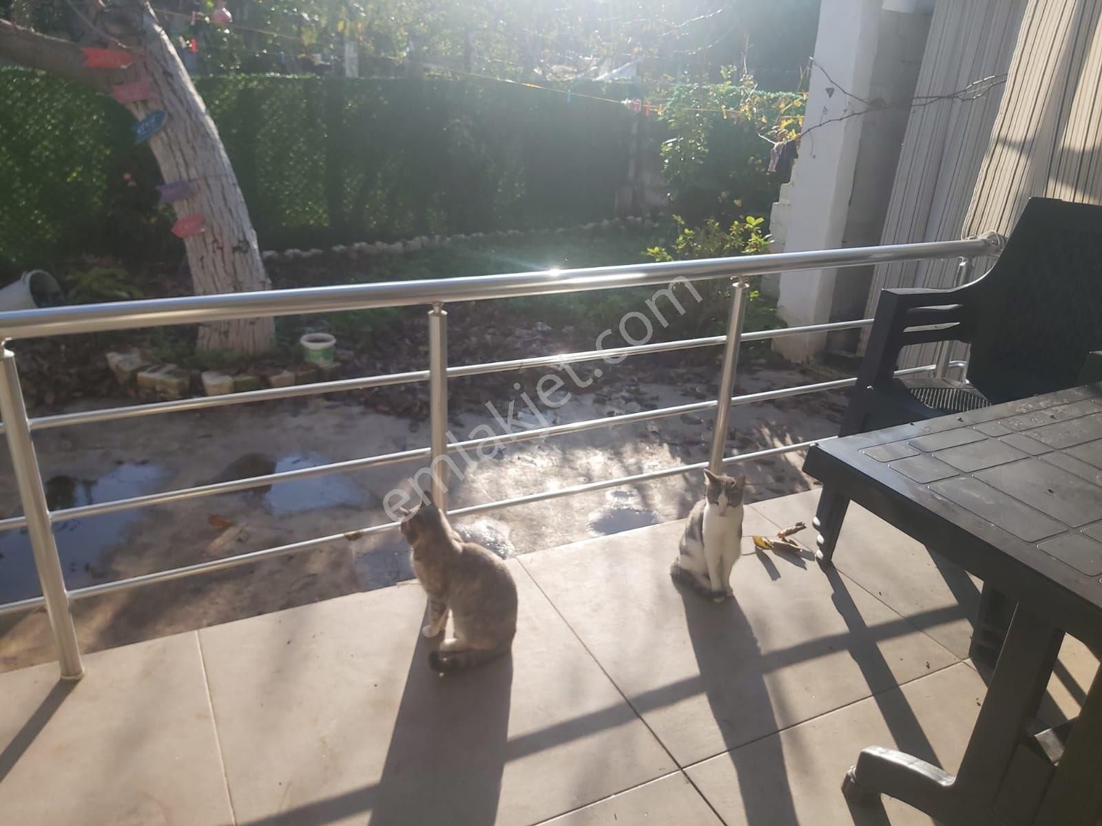 Söke Bağrası Müstakil Satılık Ev