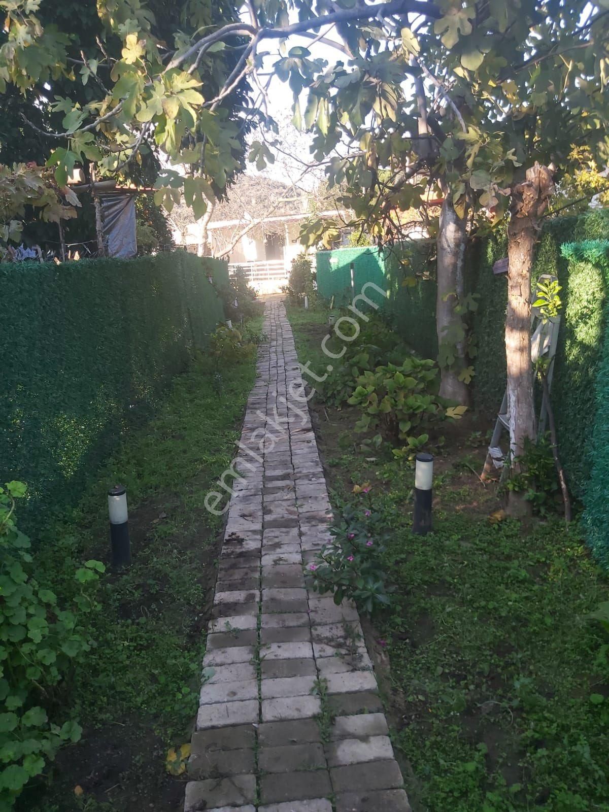 Söke Bağrası Müstakil Satılık Ev - Görsel 3