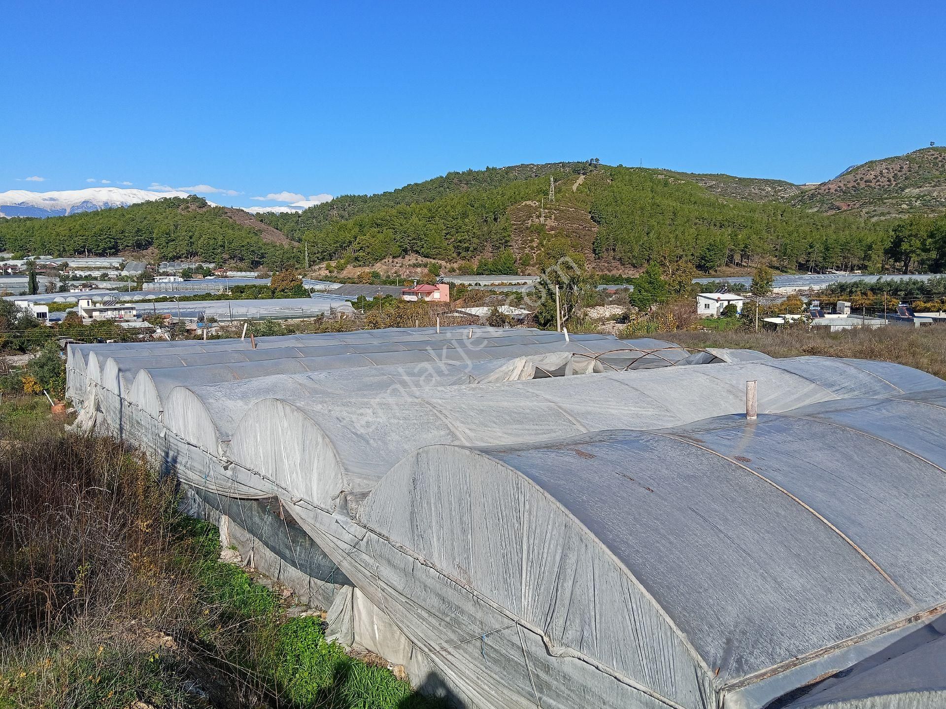 Ev Yapmak İçin Mükemmel Yer - Görsel 3