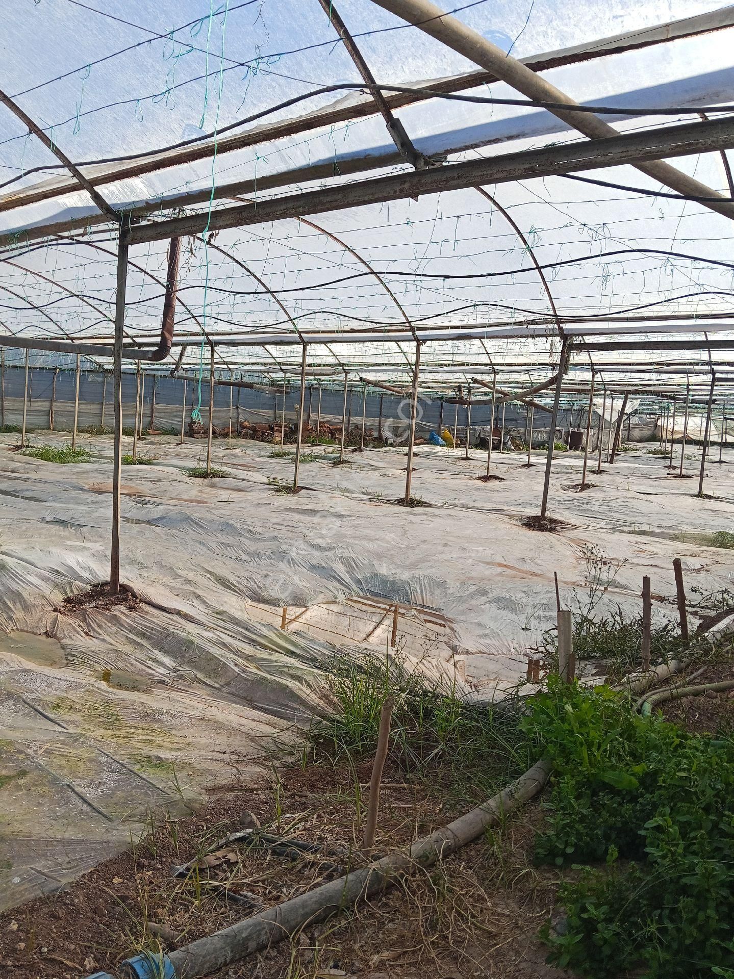 Ev Yapmak İçin Mükemmel Yer - Görsel 16