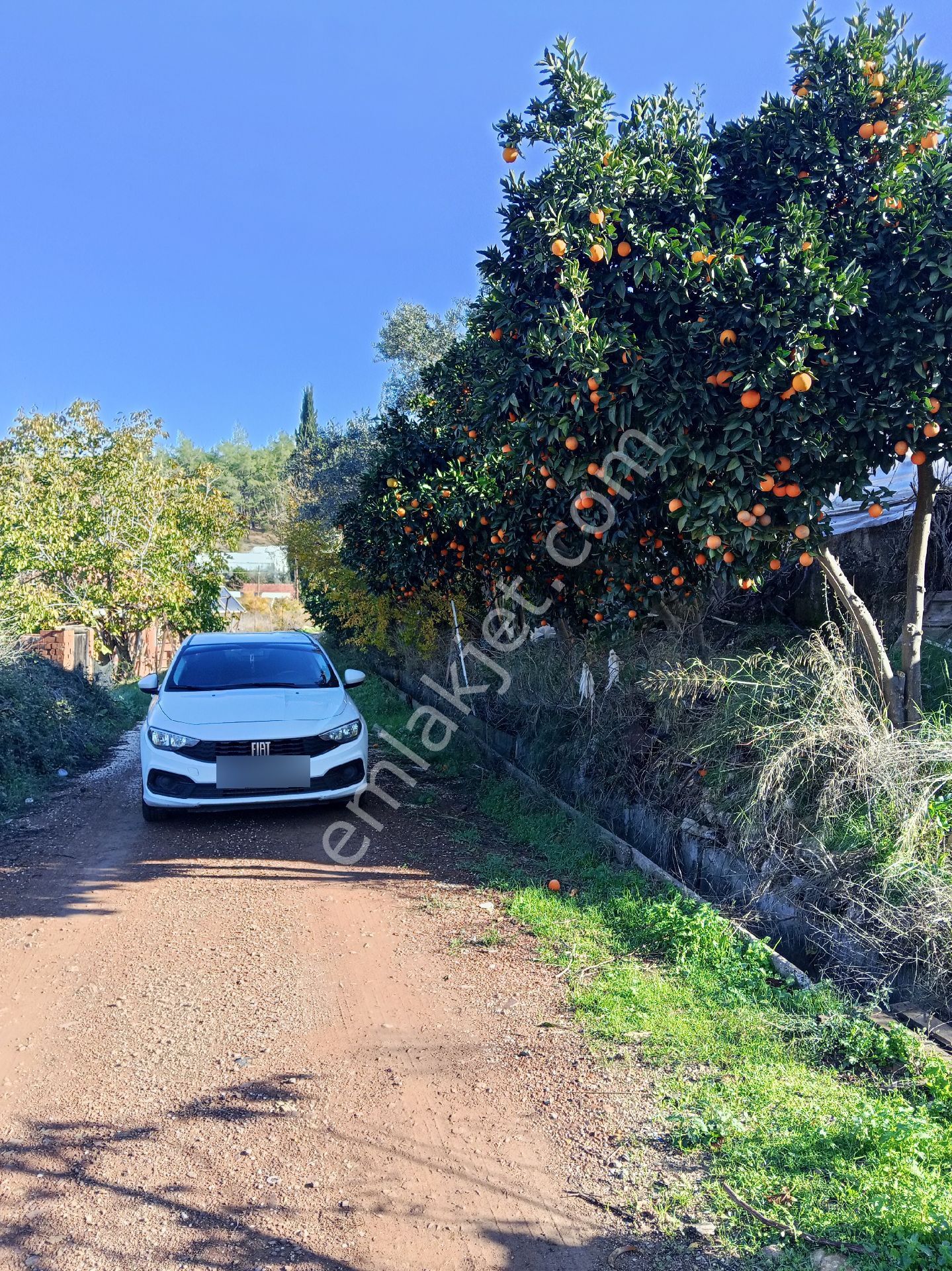 Ev Yapmak İçin Mükemmel Yer - Görsel 19