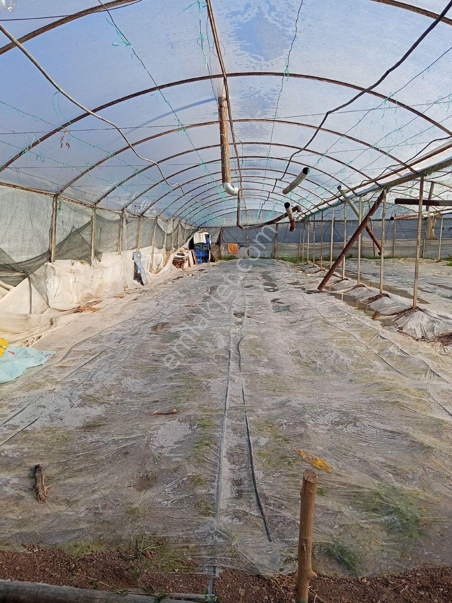 Ev Yapmak İçin Mükemmel Yer - Görsel 17