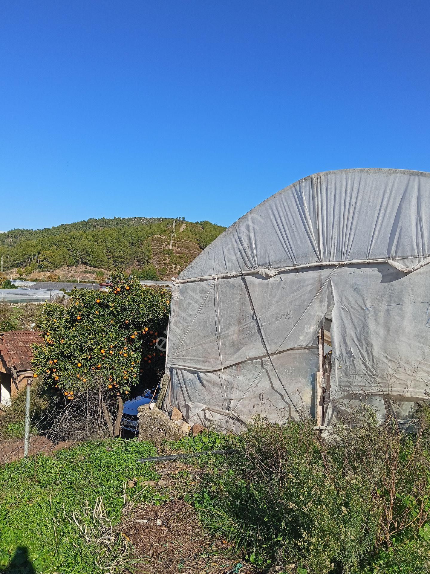 Ev Yapmak İçin Mükemmel Yer - Görsel 13