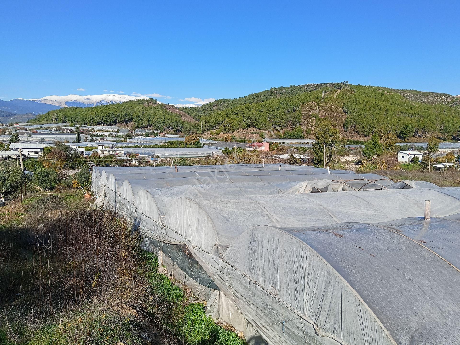 Ev Yapmak İçin Mükemmel Yer - Görsel 2