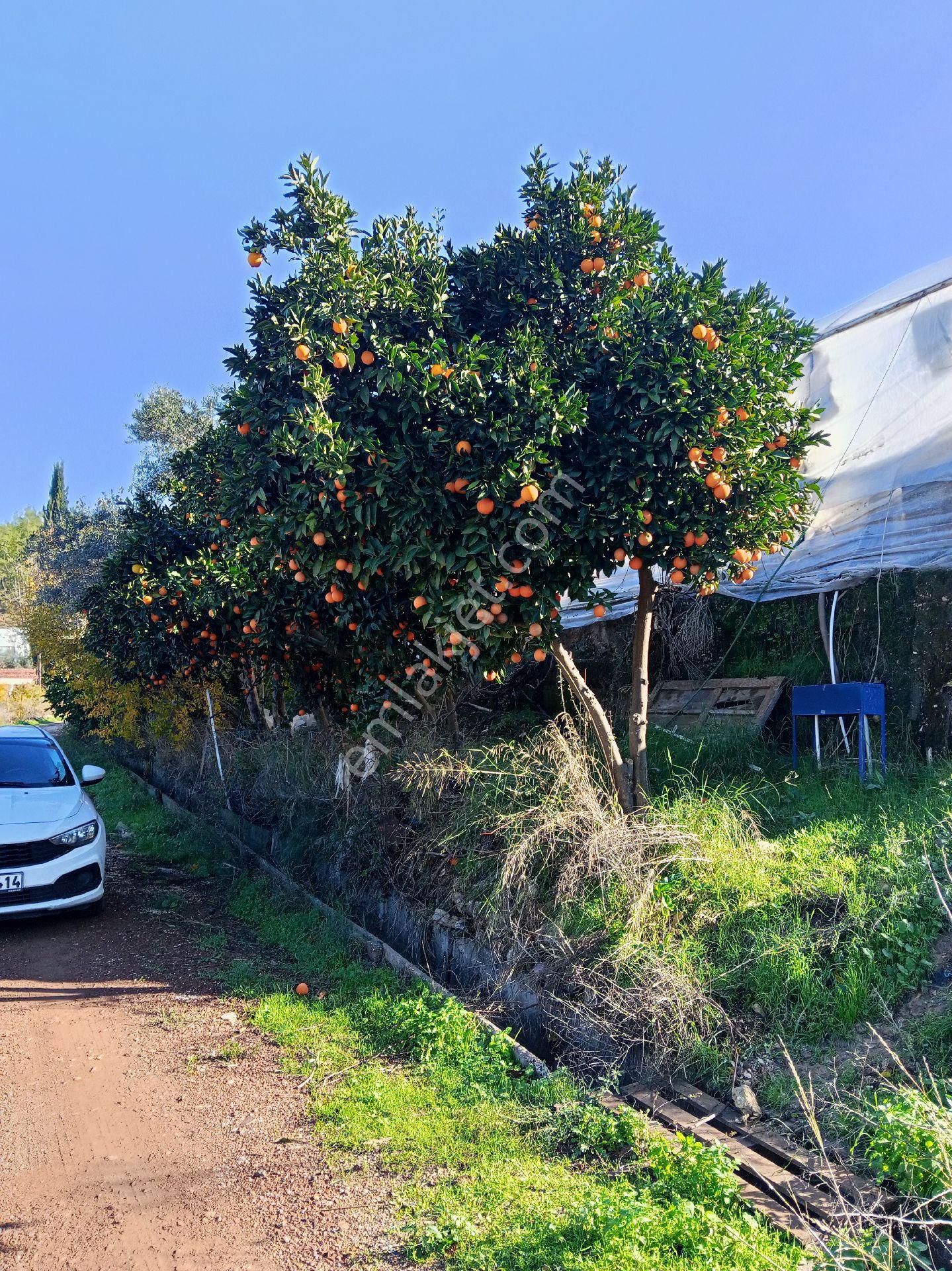 Ev Yapmak İçin Mükemmel Yer - Görsel 20