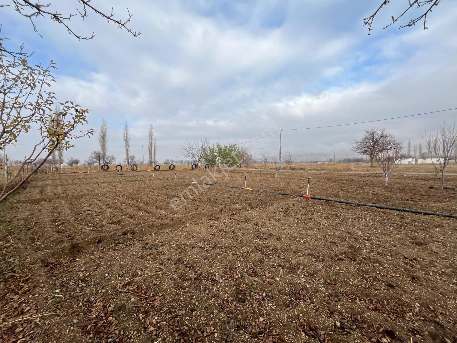 Öz Gaye Emlaktan Develi Sindelhöyük Kadanbaş Mevkindev Satılık Hobi Bahçesi - Görsel 5