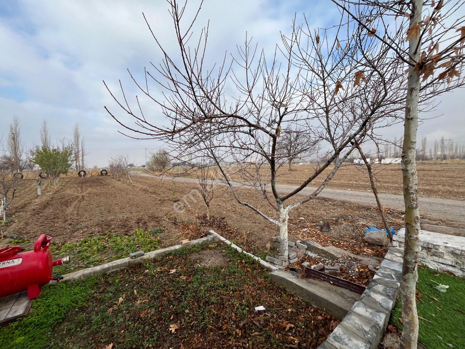Öz Gaye Emlaktan Develi Sindelhöyük Kadanbaş Mevkindev Satılık Hobi Bahçesi - Görsel 14