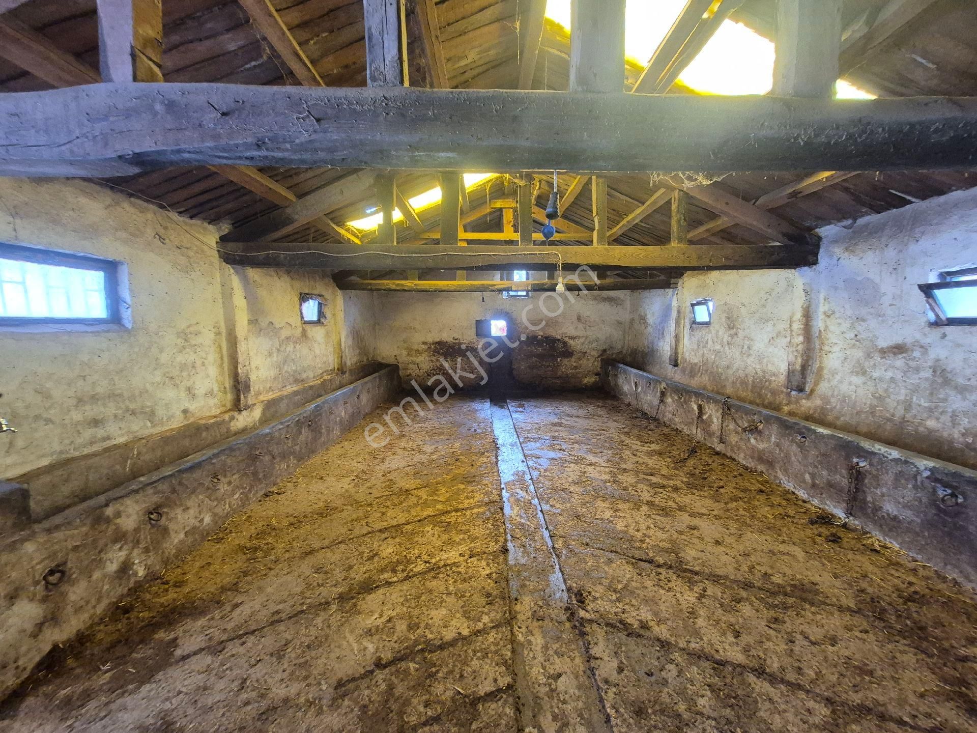 Ladik Oymapınar Köyü Satılık Ev Ahır Ve Arsası - Görsel 11