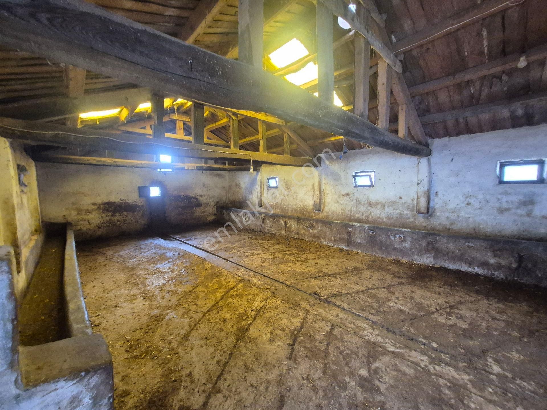 Ladik Oymapınar Köyü Satılık Ev Ahır Ve Arsası - Görsel 10