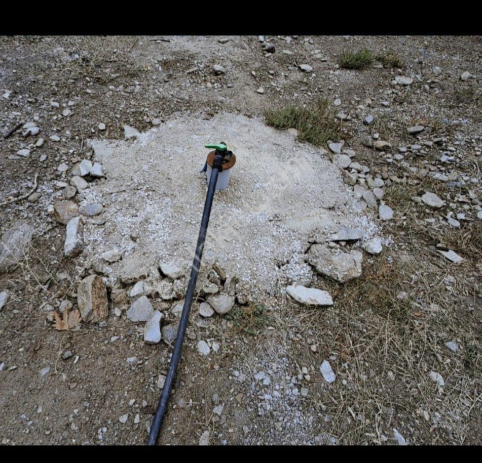 Satılık Hobı Bahçesi Zeytinlik - Görsel 25