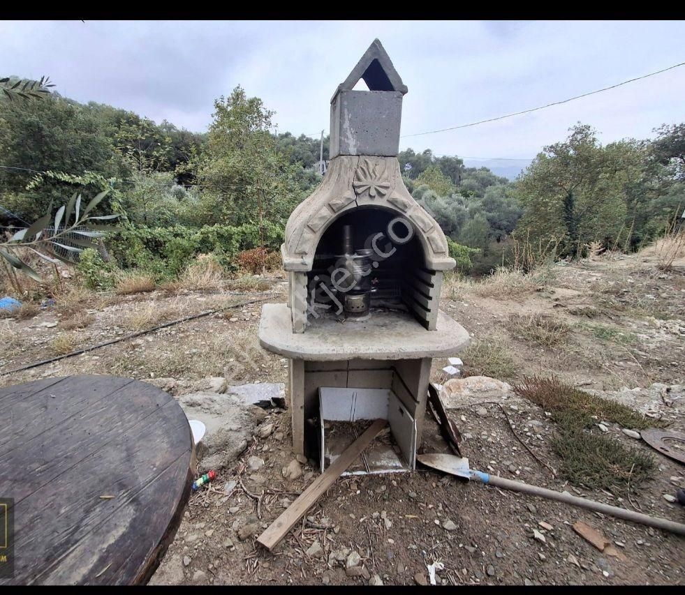 Satılık Hobı Bahçesi Zeytinlik - Görsel 2