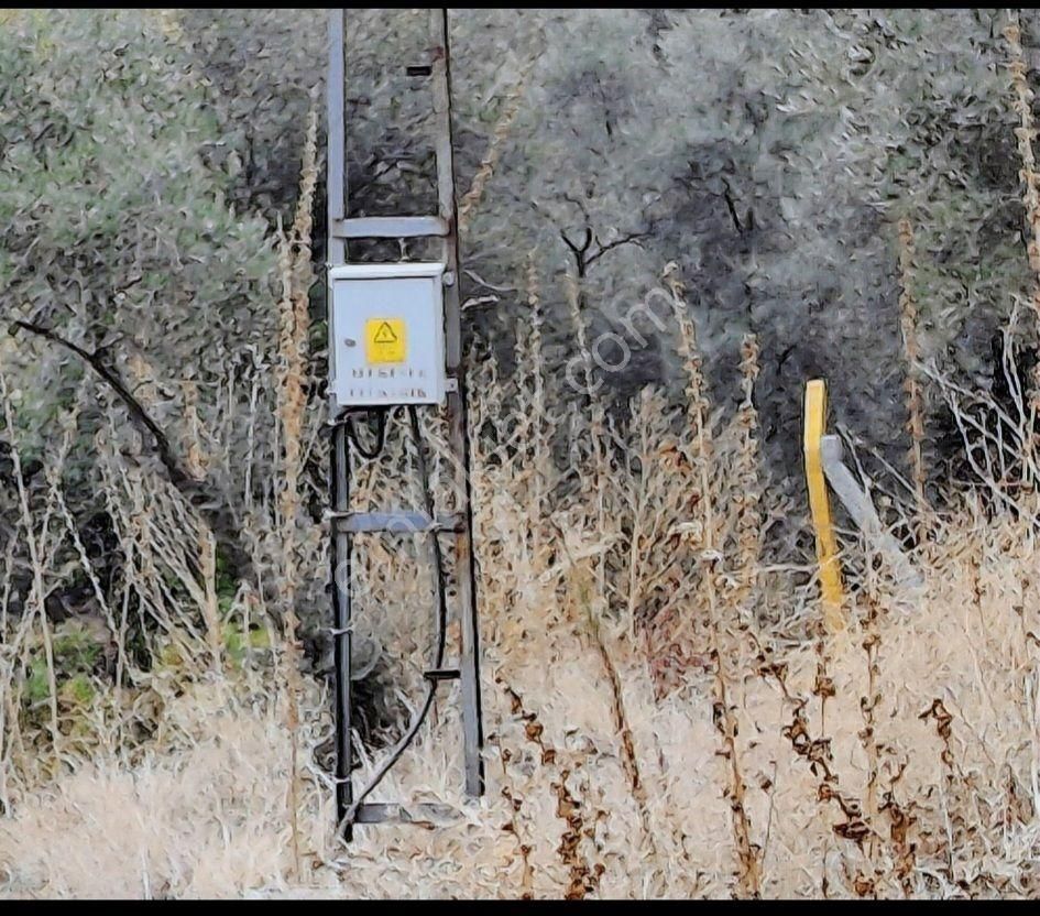 Satılık Hobı Bahçesi Zeytinlik - Görsel 26